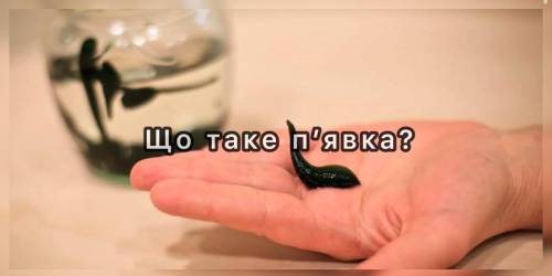 Що таке п’явка?